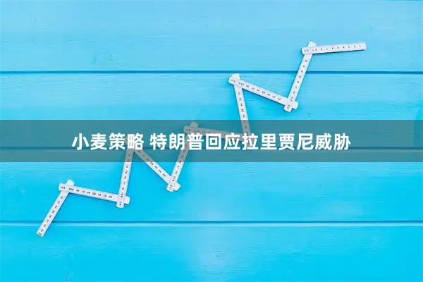 小麦策略 特朗普回应拉里贾尼威胁