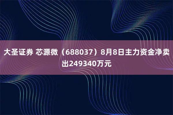 大圣证券 芯源微(688037)8月8日主力资金净卖出249340万元