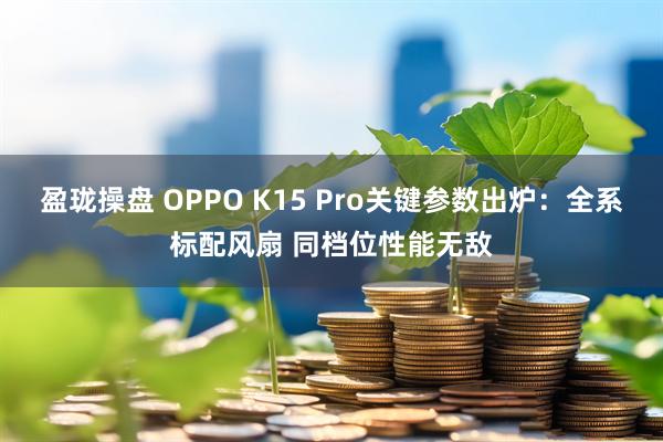 盈珑操盘 OPPO K15 Pro关键参数出炉:全系标配风扇 同档位性能无敌