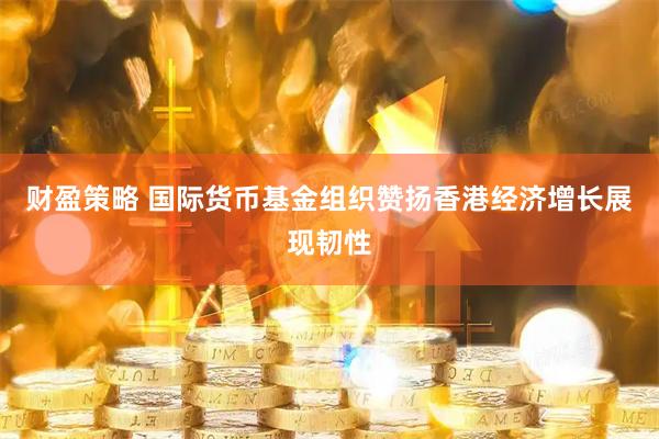财盈策略 国际货币基金组织赞扬香港经济增长展现韧性