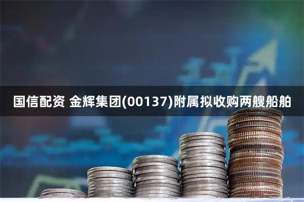 国信配资 金辉集团(00137)附属拟收购两艘船舶