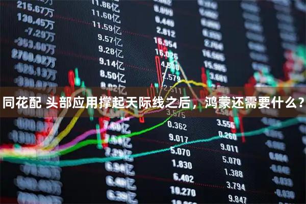 同花配 头部应用撑起天际线之后，鸿蒙还需要什么？