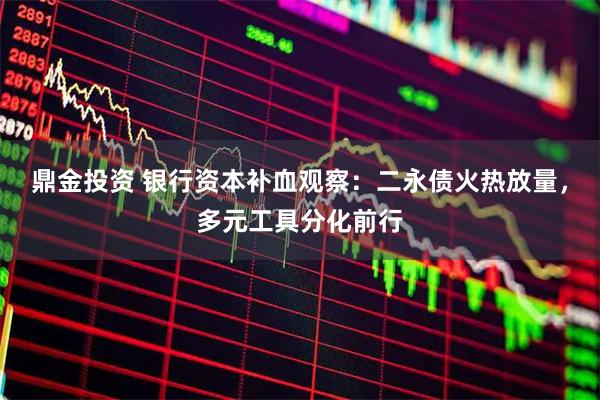 鼎金投资 银行资本补血观察：二永债火热放量，多元工具分化前行
