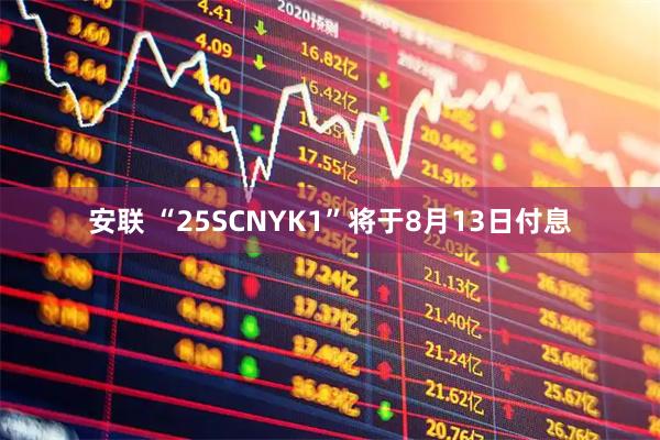 安联 “25SCNYK1”将于8月13日付息
