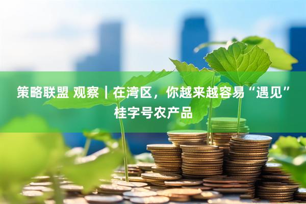 策略联盟 观察｜在湾区，你越来越容易“遇见”桂字号农产品