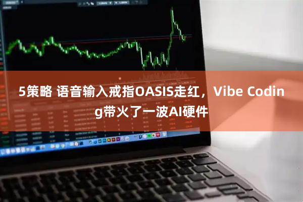 5策略 语音输入戒指OASIS走红，Vibe Coding带火了一波AI硬件